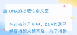 dna的提取性别文案