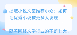 提取小说文案推荐小众