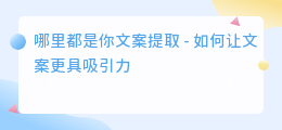 哪里都是你文案提取