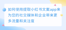 提取小红书文案app