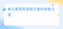 美元素提取音频文案