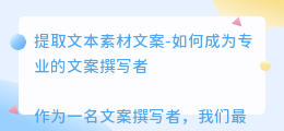 提取文本素材文案