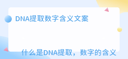 DNA提取数字含义文案
