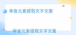 审查元素提取文字文案