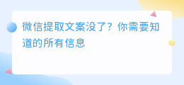 微信提取文案没了