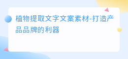 植物提取文字文案素材