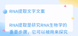 RNA提取文字文案