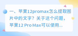 手机怎么快速提取照片文字 苹果12promax怎么提取图片中的文字?