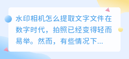 水印相机怎么提取文字文件