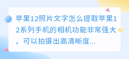 苹果12照片文字怎么提取