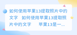 苹果13怎么照相提取文字
