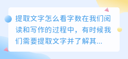 提取文字怎么看字数