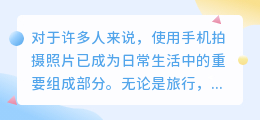 苹果怎么提取相机里的文字