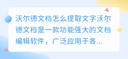 沃尔德文档怎么提取文字