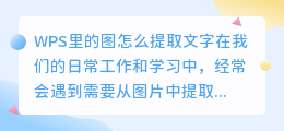 wps里的图怎么提取文字