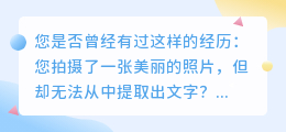 怎么在提取照片里的文字