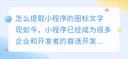怎么提取小程序的图标文字
