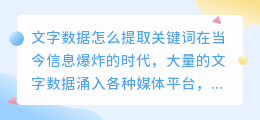 文字数据怎么提取关键词