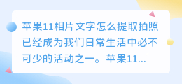 苹果11相片文字怎么提取