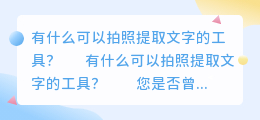有什么可以拍照提取文字的