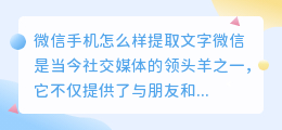 微信手机怎么样提取文字