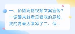 佛山宣传短视频拍摄 佛山宣传短视频拍摄公司
