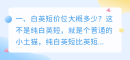 清远短视频拍摄价位多少 短视频拍摄报价