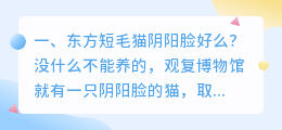阴阳脸短视频拍摄方法 阴阳脸拍摄手法