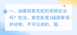 拍摄短视频被抓的 拍摄短视频被抓的人叫什么