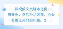深圳短视频拍摄脚本范例 深圳短视频拍摄团队