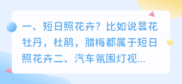 日照汽车拍摄短视频招聘 日照汽车销售招聘信息