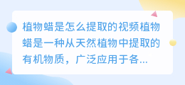 植物蜡是怎么提取的视频