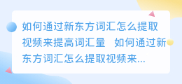新东方词汇怎么提取视频
