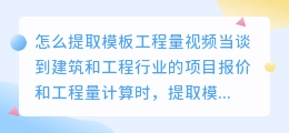怎么提取模板工程量视频