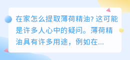 在家怎么提取薄荷精油视频