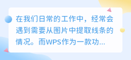 wps怎么提取图片中的线