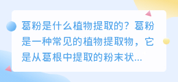 葛粉是什么植物提取的图片