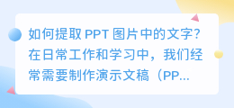 ppt图片中的字怎么提取