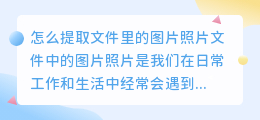 怎么提取文件里的图片照片