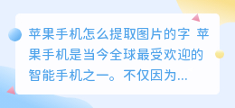 苹果手机怎么提取图片的字