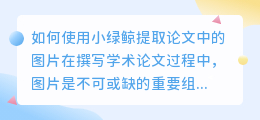 小绿鲸怎么提取论文图片