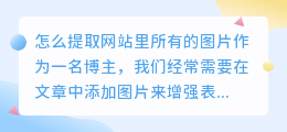 怎么提取网站里所有的图片