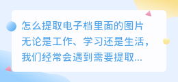 怎么提取电子档里面的图片