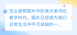 怎么提取图片中的英文单词
