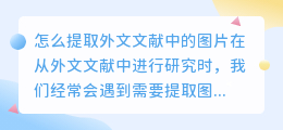 怎么提取外文文献中的图片