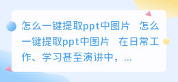 怎么一键提取ppt中图片