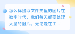 怎么样提取文件夹里的图片