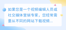 视频去水印网站