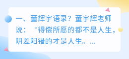 董辉宇语录?