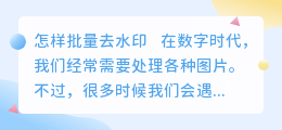 怎样批量去水印
